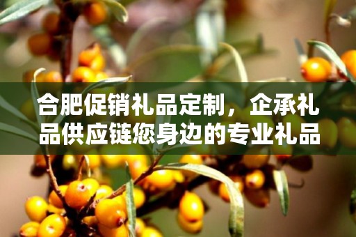 合肥促销礼品定制，企承礼品供应链您身边的专业礼品定制公司